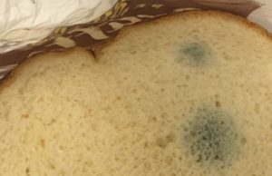 Stale Bread: When It’s Safe to Eat and When to Toss It