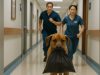 A dog ran down a hospital corridor with a black bag in its mouth: when doctors finally caught up with it, they learned something terrible