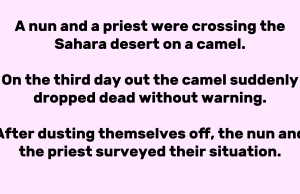 A nun and a priest were crossing the Sahara desert on a camel