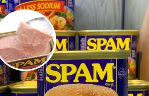 How Spam Is Used in Different Dishes Around the World