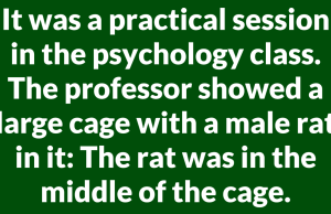 Behind Every Hungry Rat Is a Marriage